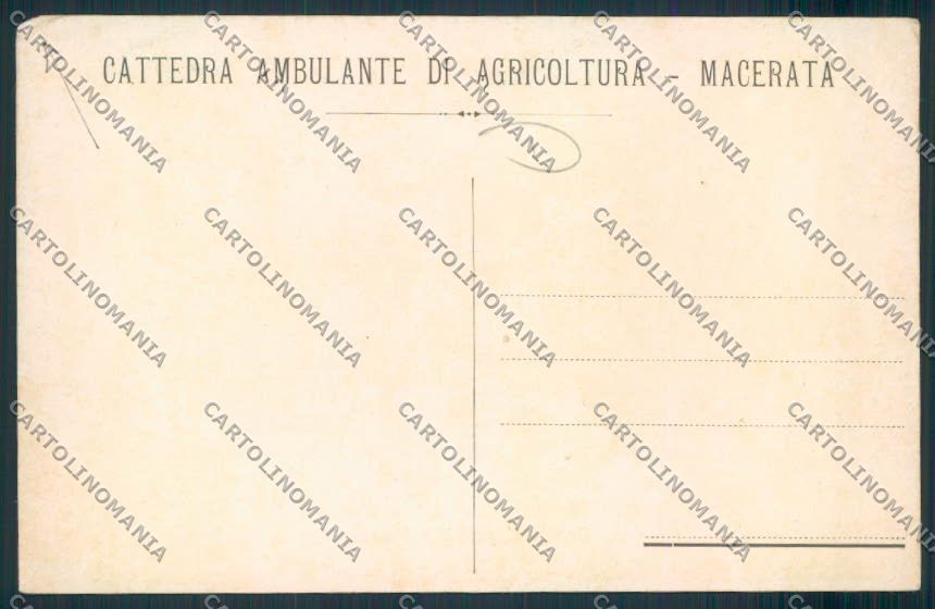 Macerata Città cartolina MV7781 – retro
