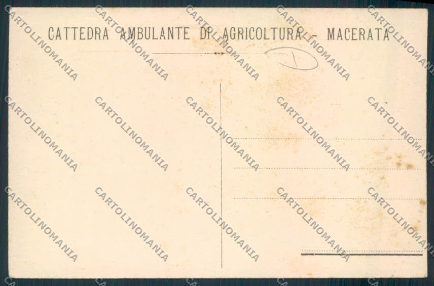 Macerata Città cartolina MV7782 – retro