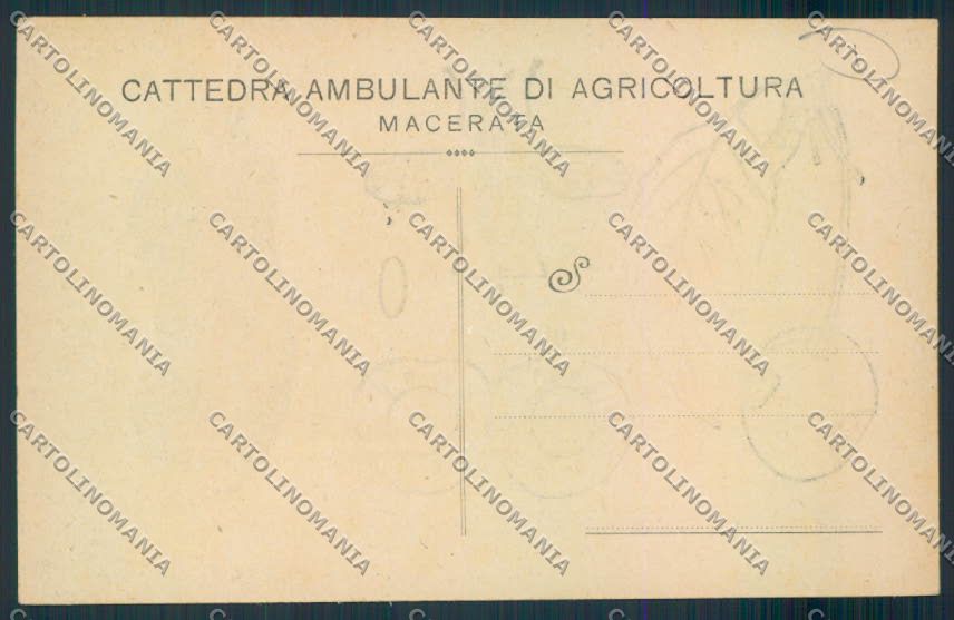Macerata Città MACCHIE cartolina MV7784 – retro