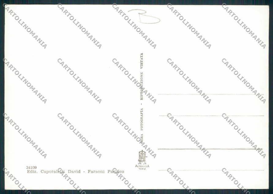 Macerata Montefano Foto FG cartolina MV7878 – retro