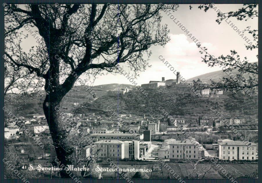 Macerata San Severino Marche Foto FG cartolina MV7879 – fronte