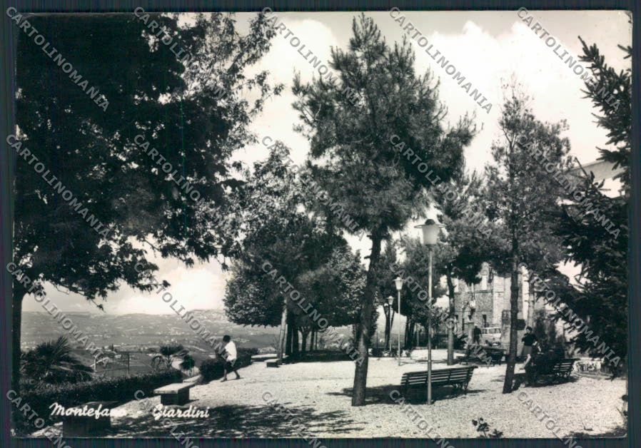 Macerata Montefano Foto FG cartolina MV7882 – fronte