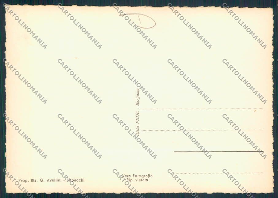 Pesaro Serra Sant'Abbondio Foto FG cartolina MV8019 – retro