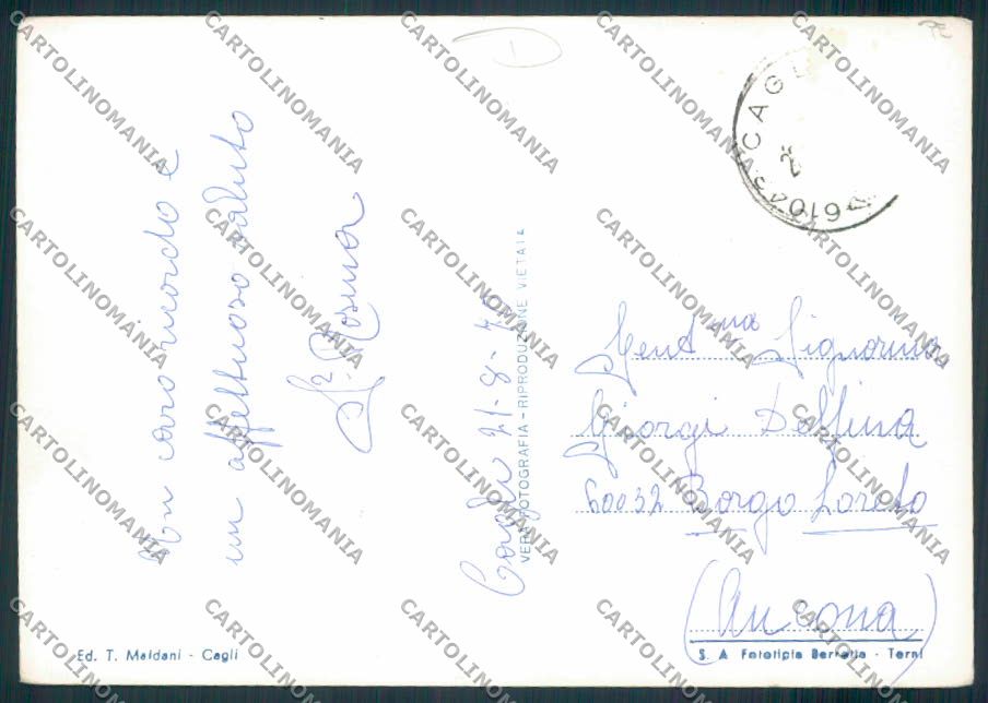 Pesaro Cagli Foto FG cartolina MV8034 – retro