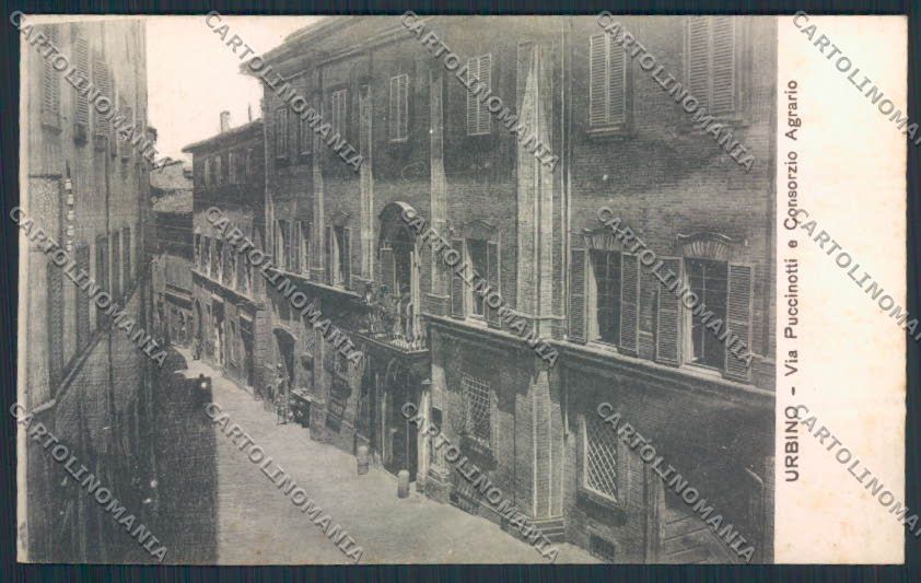 Pesaro Urbino cartolina MV8120 – fronte