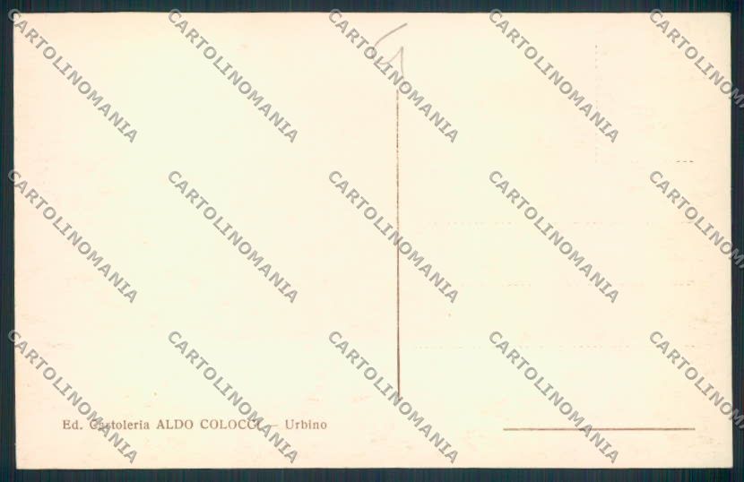 Pesaro Urbino Foto cartolina MV8127 – retro