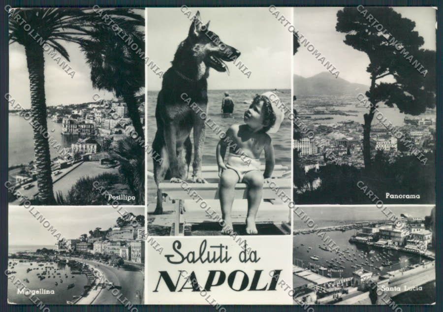 Napoli città FG foto cartolina MV8431 – fronte