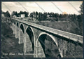 Cosenza Bosco Silano FG foto cartolina MV8748 – fronte