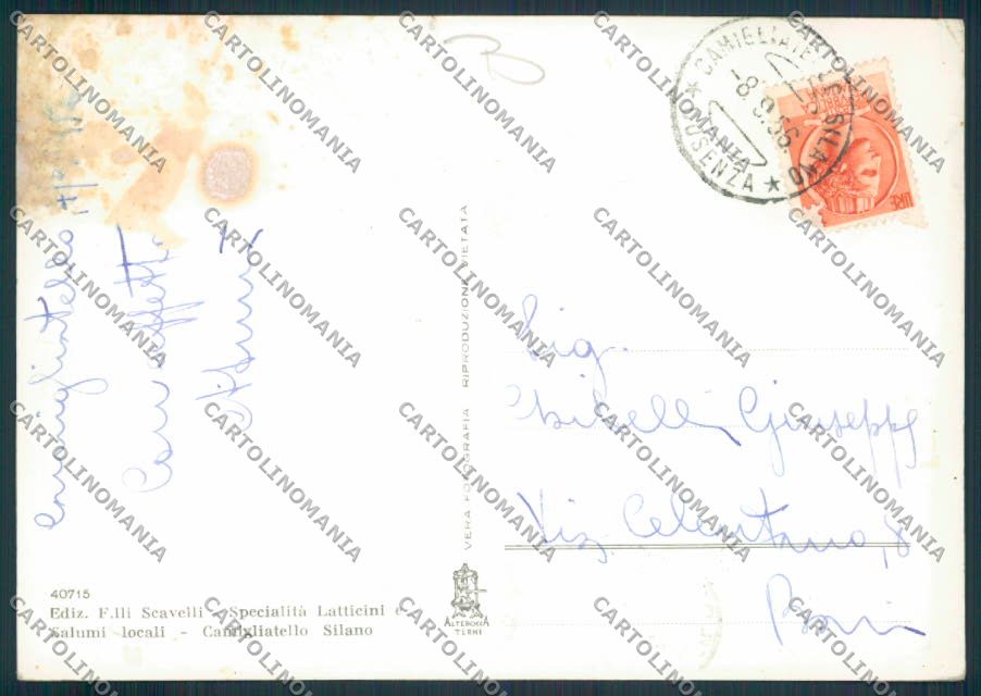 Cosenza Bosco Silano FG foto cartolina MV8748 – retro