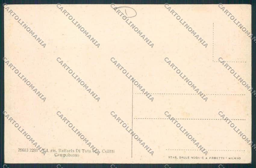 Campobasso città Poste cartolina MV8846 – retro