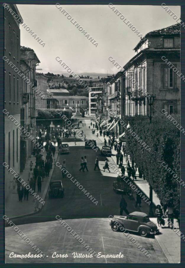 Campobasso città FG foto cartolina MV8854 – fronte