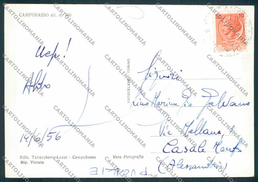Campobasso città FG foto cartolina MV8854 – retro