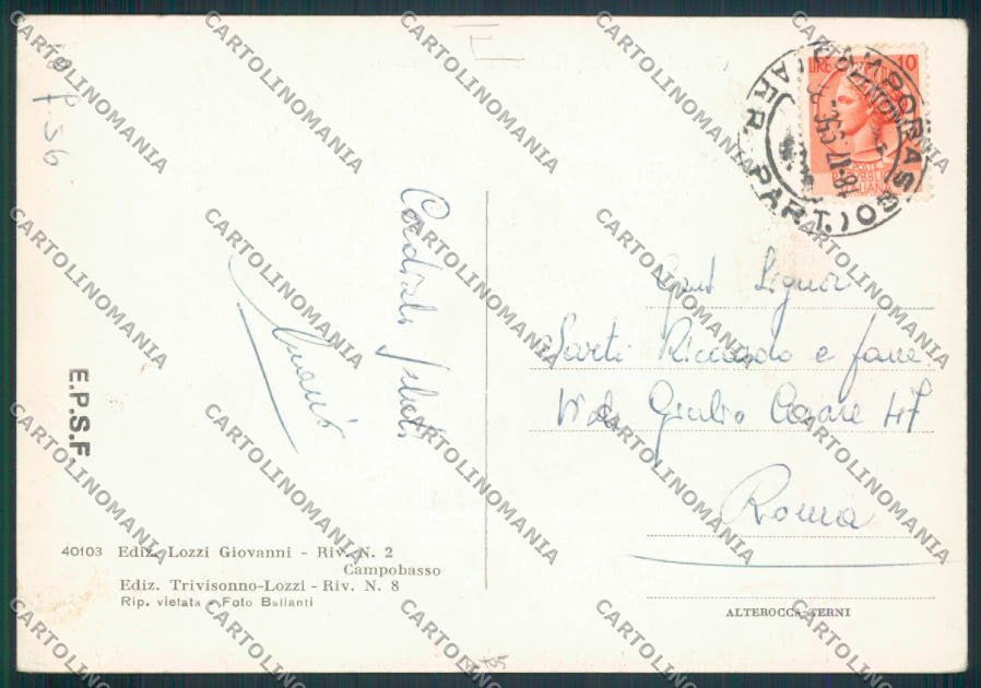 Campobasso città FG cartolina MV8856 – retro