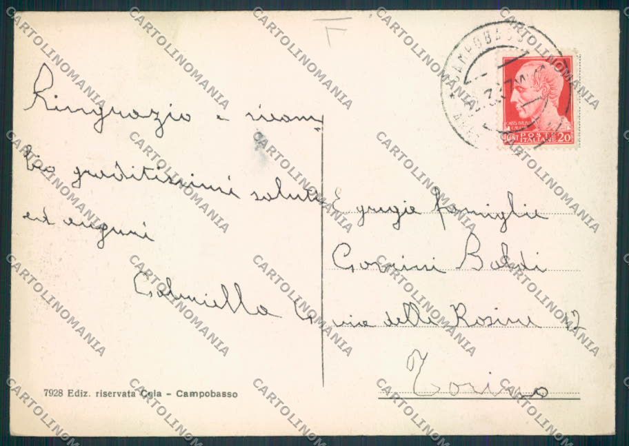 Campobasso città FG cartolina MV8857 – retro