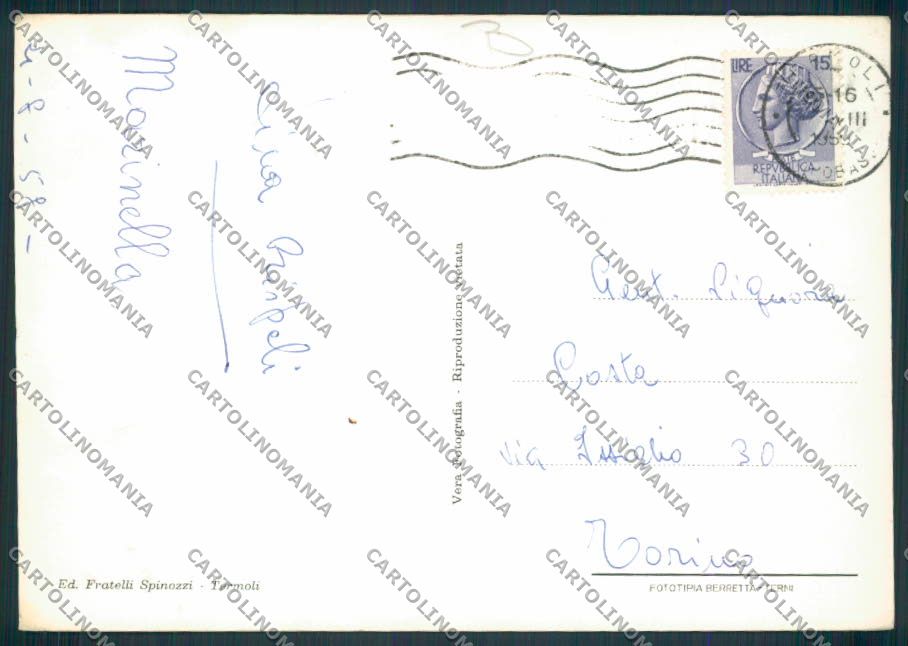 Campobasso San Domino Tremiti FG foto cartolina MV8870 – retro