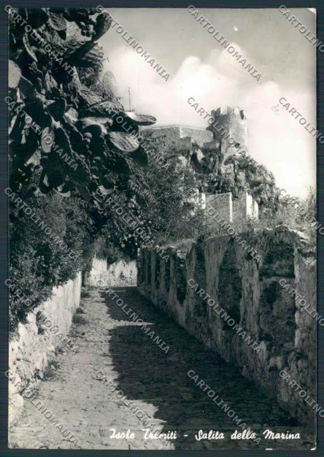 Campobasso Tremiti FG foto cartolina MV8872 – fronte