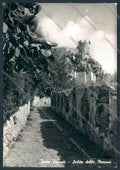 Campobasso Tremiti FG foto cartolina MV8872 – fronte