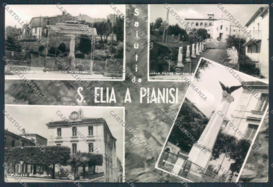 Campobasso Sant'Elia Pianisi FG foto cartolina MV8878 – fronte