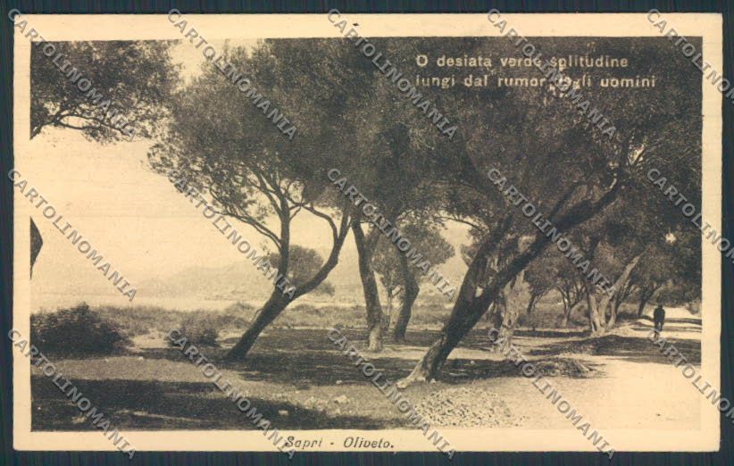 Salerno Sapri cartolina MV8937 – fronte