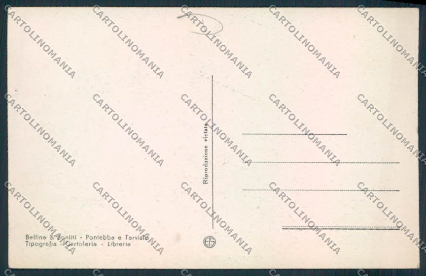 Udine Pontebba cartolina MV9482 – retro