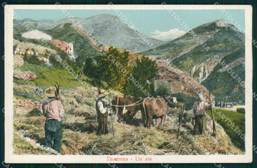 Messina Taormina Contadini con Buoi Aia cartolina MX0923 – fronte
