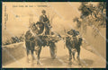 Messina Taormina Carro tirato da Buoi Costumi cartolina MX0940 – fronte