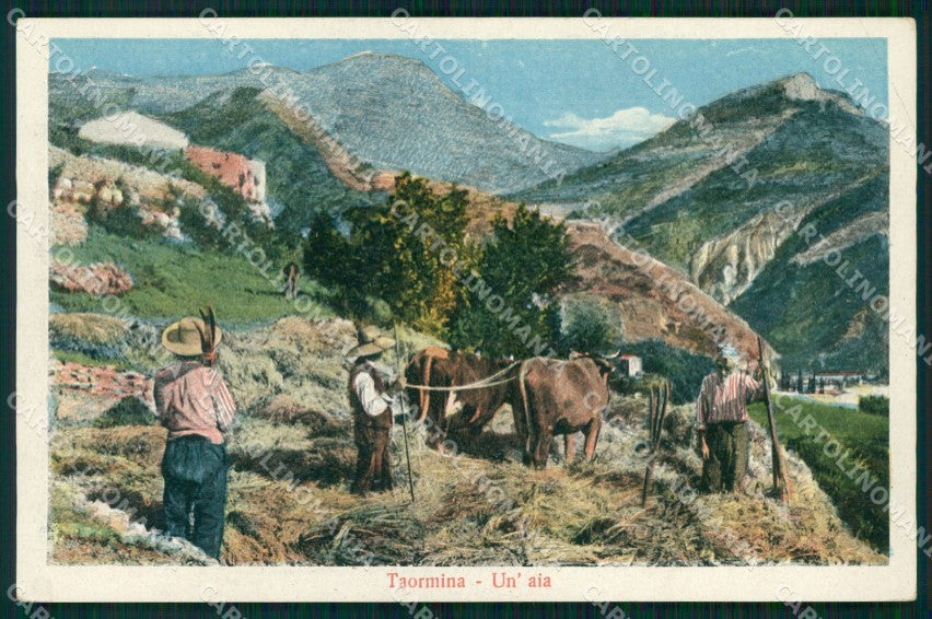 Messina Taormina Contadini con Buoi Aia cartolina MX0954 – fronte
