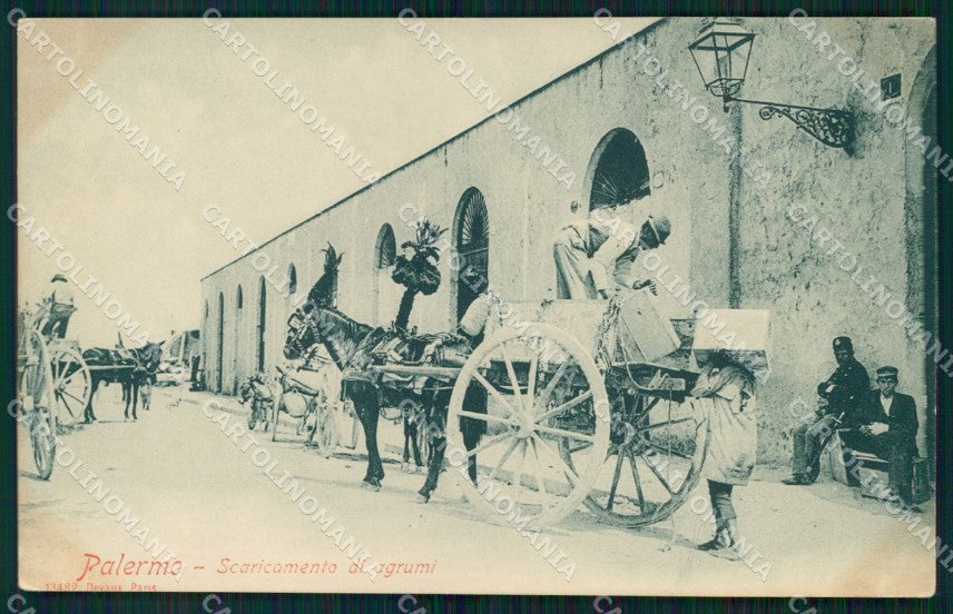 Palermo Città Carretto Siciliano Scaricamento Agrumi Mestieri cartolina MX1024 – fronte