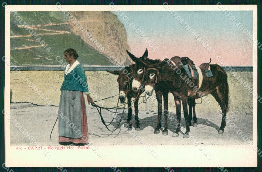 Napoli Capri Mestieri Noleggiatrice d'Asini cartolina MX1061 – fronte