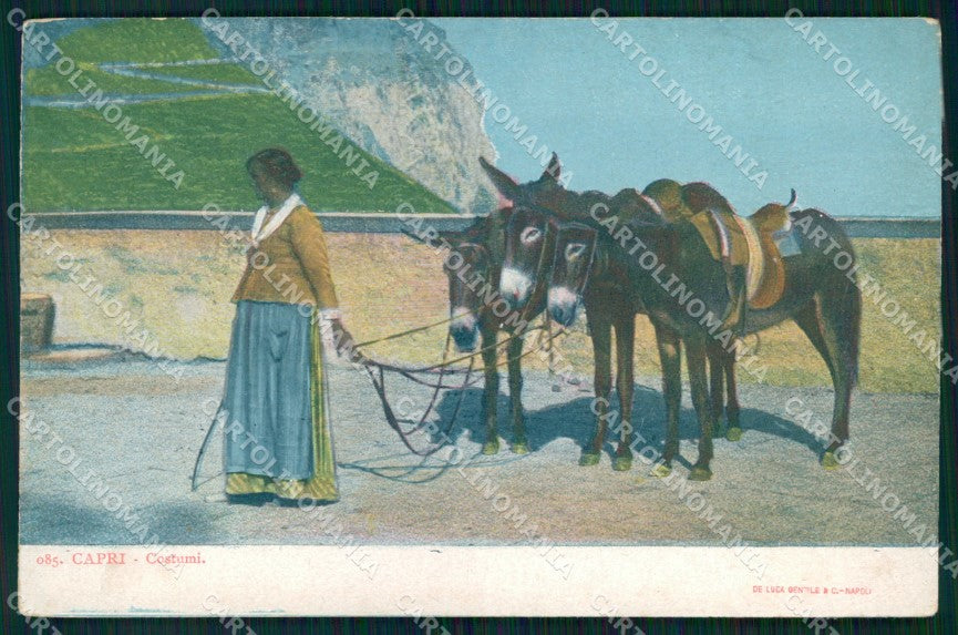 Napoli Capri Mestieri Noleggiatrice d'Asini cartolina MX1065 – fronte