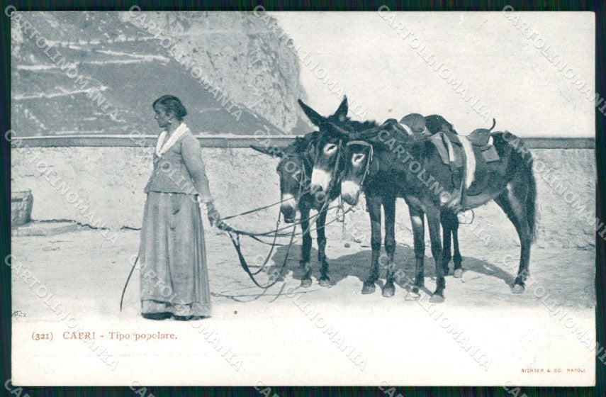 Napoli Capri Mestieri Noleggiatrice d'Asini cartolina MX1066 – fronte