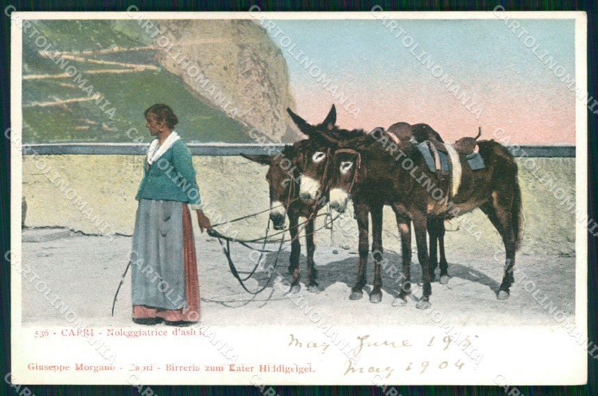 Napoli Capri Mestieri Noleggiatrice d'Asini cartolina MX1067 – fronte