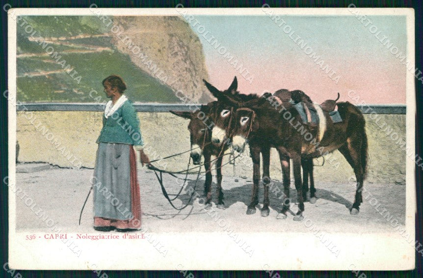 Napoli Capri Mestieri Noleggiatrice d'Asini cartolina MX1068 – fronte
