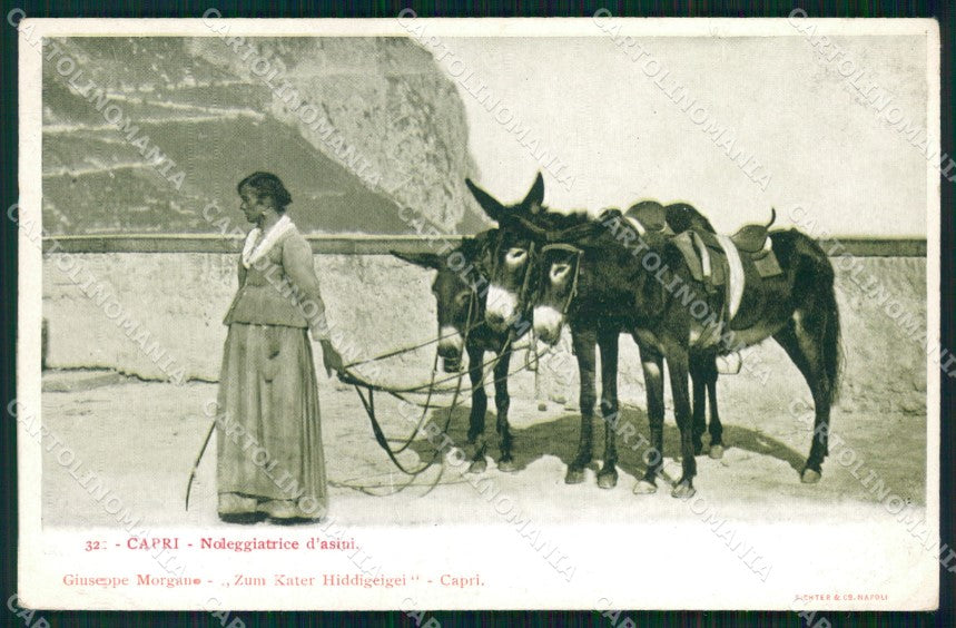 Napoli Capri Mestieri Noleggiatrice d'Asini cartolina MX1070 – fronte