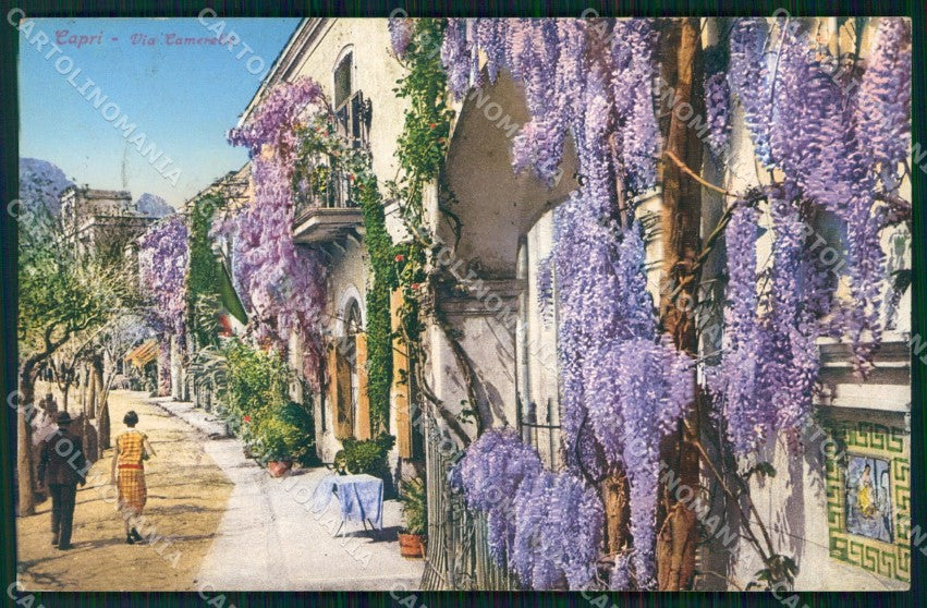 Napoli Capri Via Camerelle Brunner 21 4 cartolina MX1105 – fronte
