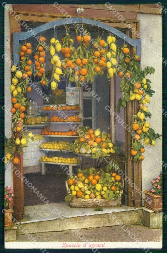 Napoli Capri Spaccio d'Agrumi Brunner 702 38 cartolina MX1125 – fronte