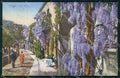 Napoli Capri Via Camerelle Hotel Faraglioni Brunner 21 4 cartolina MX1153 – fronte
