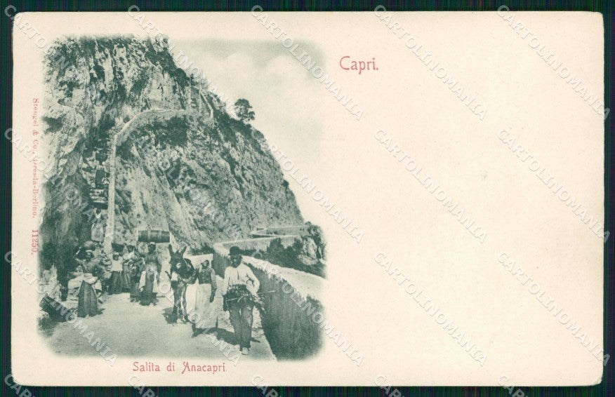 Napoli Capri Salita Anacapri Stengel 11250 cartolina MX1158 – fronte