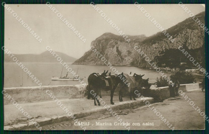 Napoli Capri Marina Grande con Asini Piroscafo Foto cartolina MX1165 – fronte