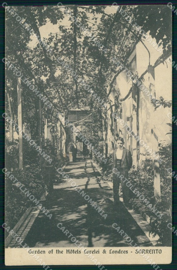 Napoli Sorrento Hotel Lorelei Londres Giardino cartolina MX1240 – fronte