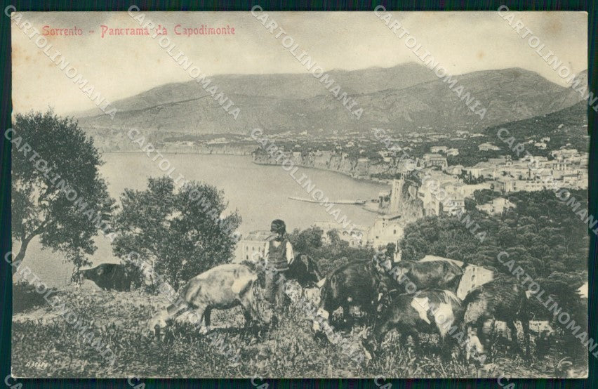 Napoli Sorrento Veduta da Capodimonte cartolina MX1252 – fronte