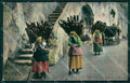 Salerno Amalfi Valle dei Mulini Portatrici Legna Costumi cartolina MX1308 – fronte