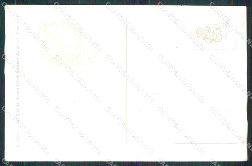 Bolzano Dobbiaco Val Pusteria Grand Hotel Franzl 502 4 cartolina MX1578 – retro