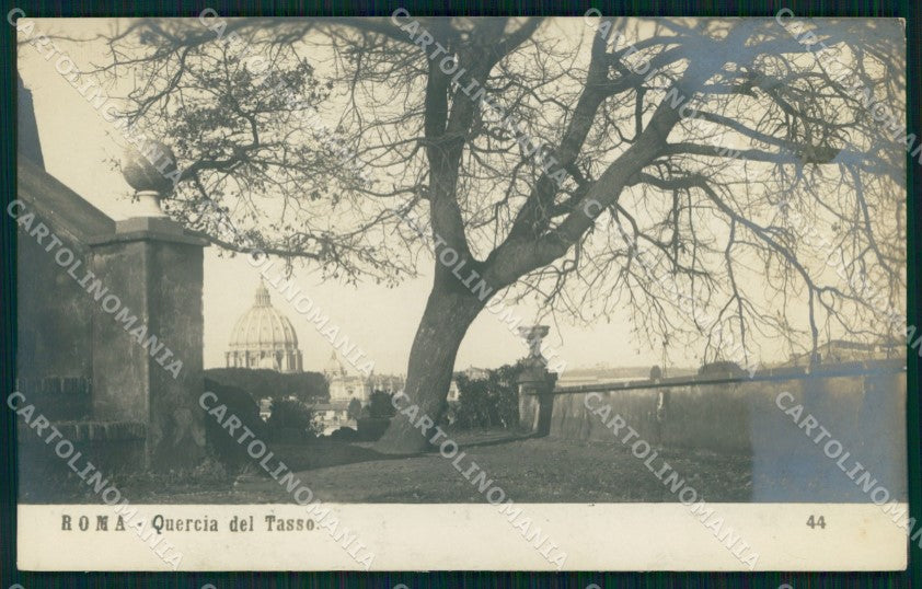 Roma Città Quercia del Tasso NPG Foto cartolina MX1671 – fronte