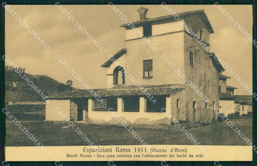Roma Città Esposizioni Ascoli Piceno Allevamento Bachi da Seta cartolina MX1713 – fronte