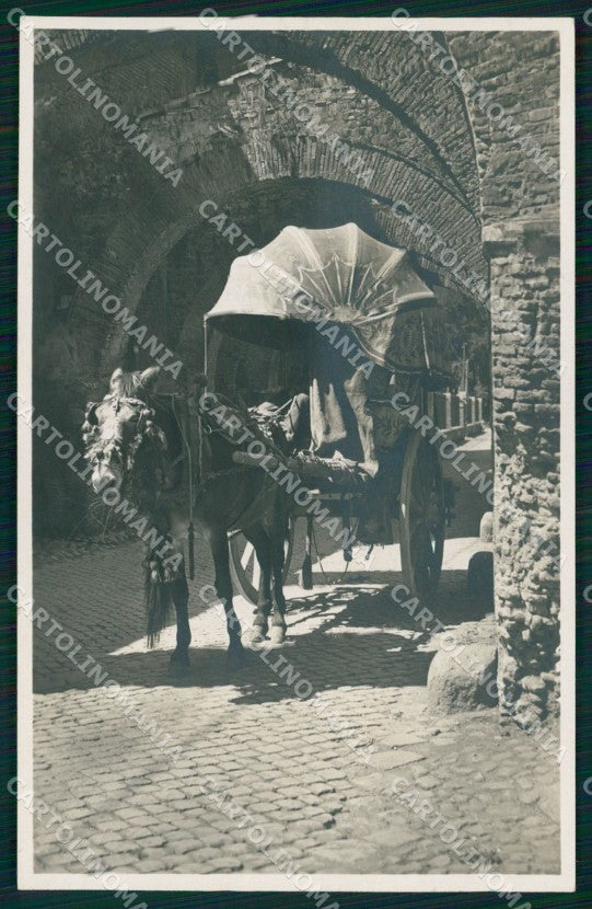 Roma Città Costumi Carro da Vino Foto cartolina MX1748 – fronte