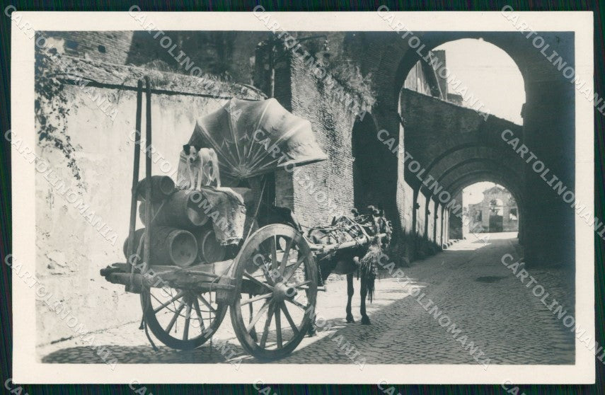 Roma Città Costumi Carro da Vino Foto cartolina MX1749 – fronte