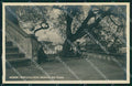 Roma Città San Pietro da Quercia del Tasso Alterocca 134 Foto cartolina MX1811 – fronte