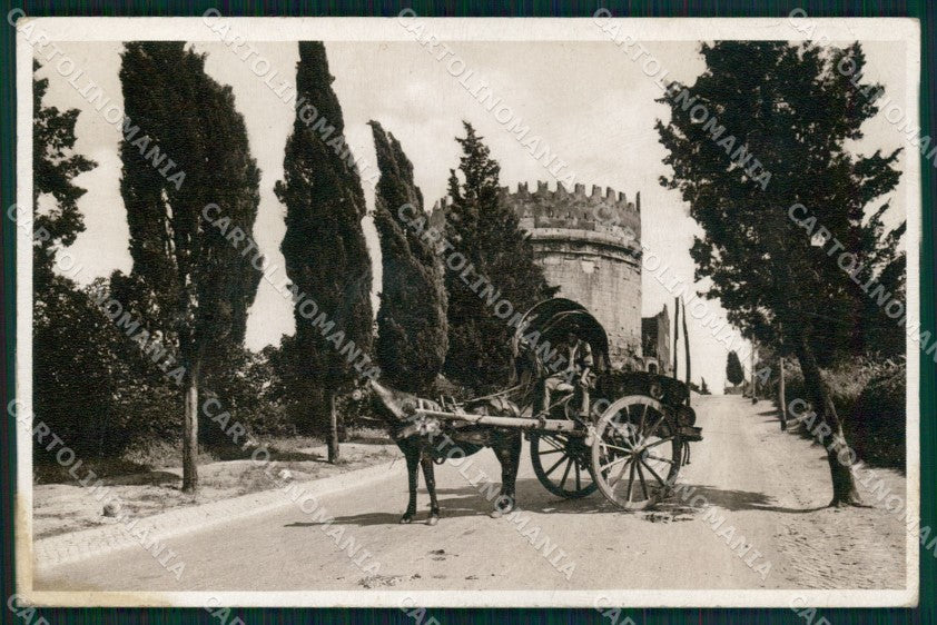 Roma Città Tomba Cecilia Metella Foto cartolina MX1845 – fronte