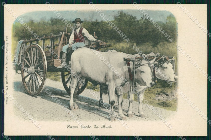 Roma Città Costumi Carro Tirato dai Buoi cartolina MX1851 – fronte